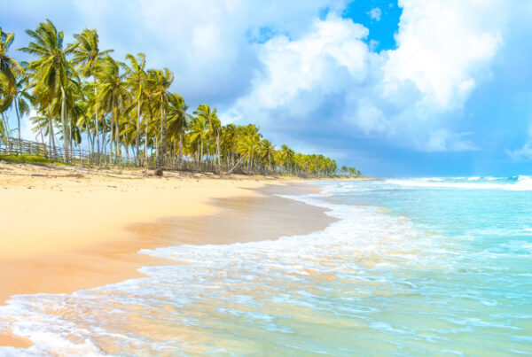 Aerial view of Macao Beach coastline near Macao Beach Residencias Dominican Republic