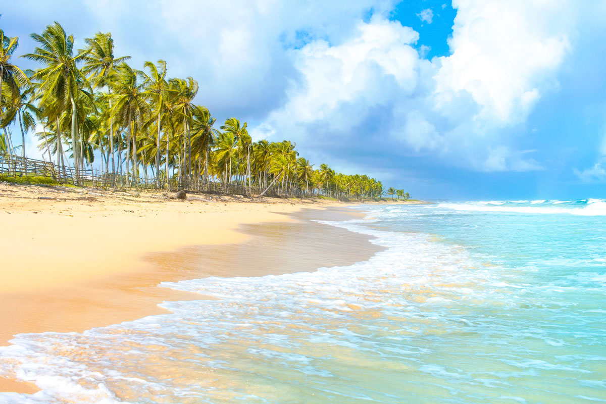 Aerial view of Macao Beach coastline near Macao Beach Residencias Dominican Republic